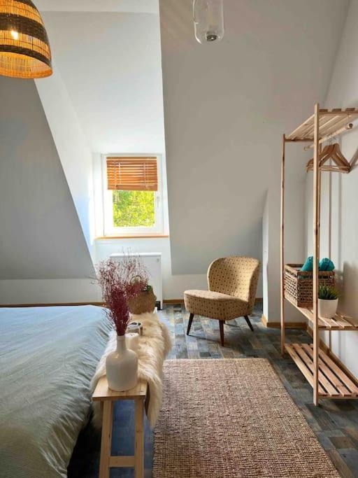 Boho Apartment In Der Stadtmitte Lahr  Eksteriør billede